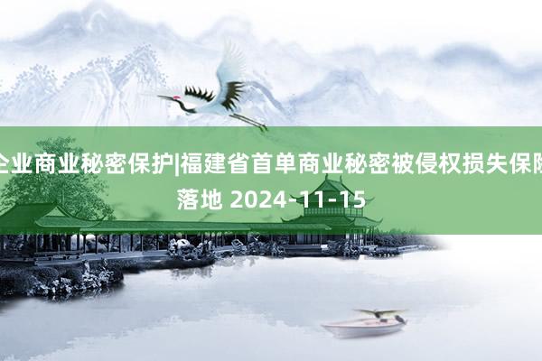 企业商业秘密保护|福建省首单商业秘密被侵权损失保险落地 2024-11-15