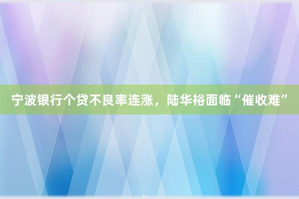 宁波银行个贷不良率连涨，陆华裕面临“催收难”