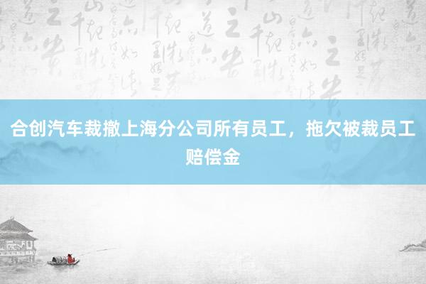 合创汽车裁撤上海分公司所有员工，拖欠被裁员工赔偿金