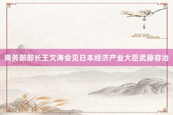 商务部部长王文涛会见日本经济产业大臣武藤容治