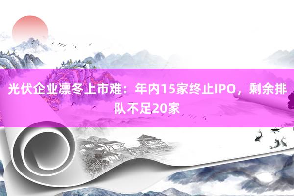 光伏企业凛冬上市难：年内15家终止IPO，剩余排队不足20家