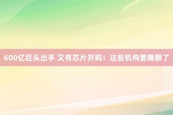 600亿巨头出手 又有芯片并购！这些机构要赚翻了