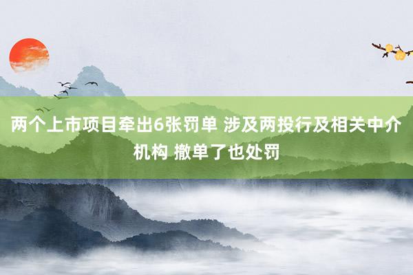 两个上市项目牵出6张罚单 涉及两投行及相关中介机构 撤单了也处罚