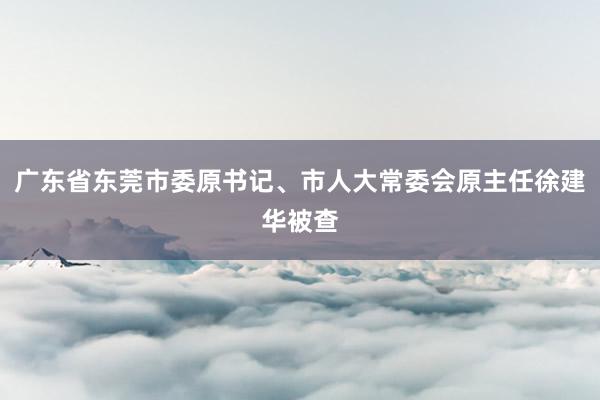 广东省东莞市委原书记、市人大常委会原主任徐建华被查