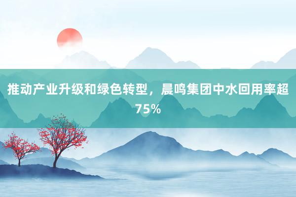 推动产业升级和绿色转型，晨鸣集团中水回用率超75%