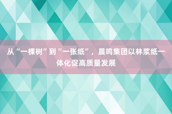 从“一棵树”到“一张纸”，晨鸣集团以林浆纸一体化促高质量发展