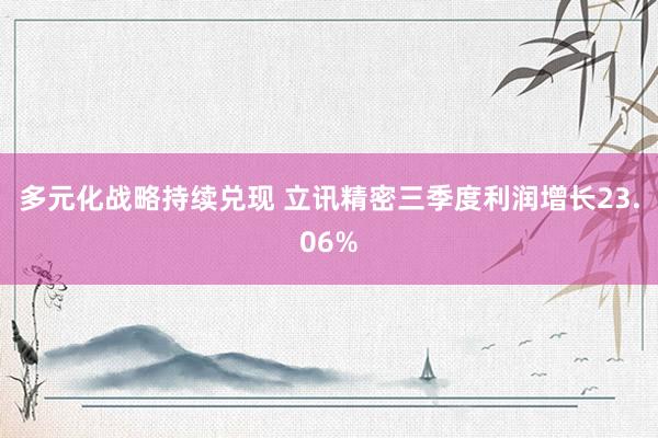 多元化战略持续兑现 立讯精密三季度利润增长23.06%