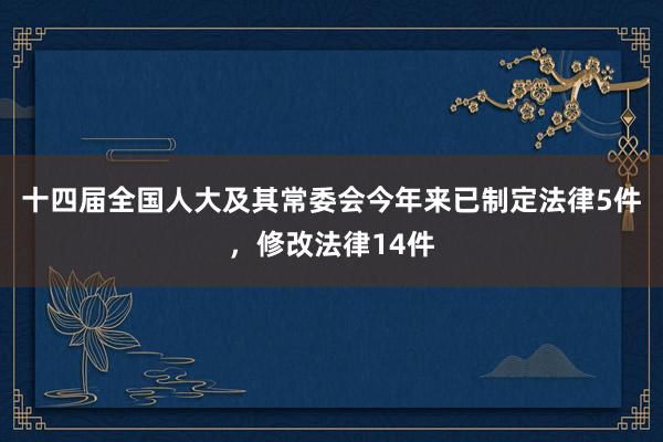 十四届全国人大及其常委会今年来已制定法律5件，修改法律14件