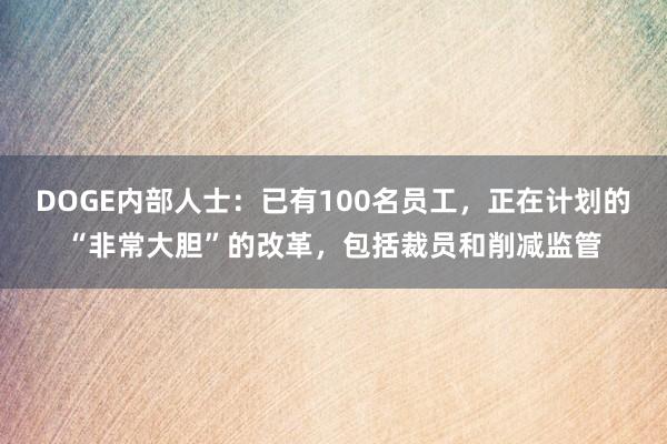 DOGE内部人士：已有100名员工，正在计划的“非常大胆”的改革，包括裁员和削减监管